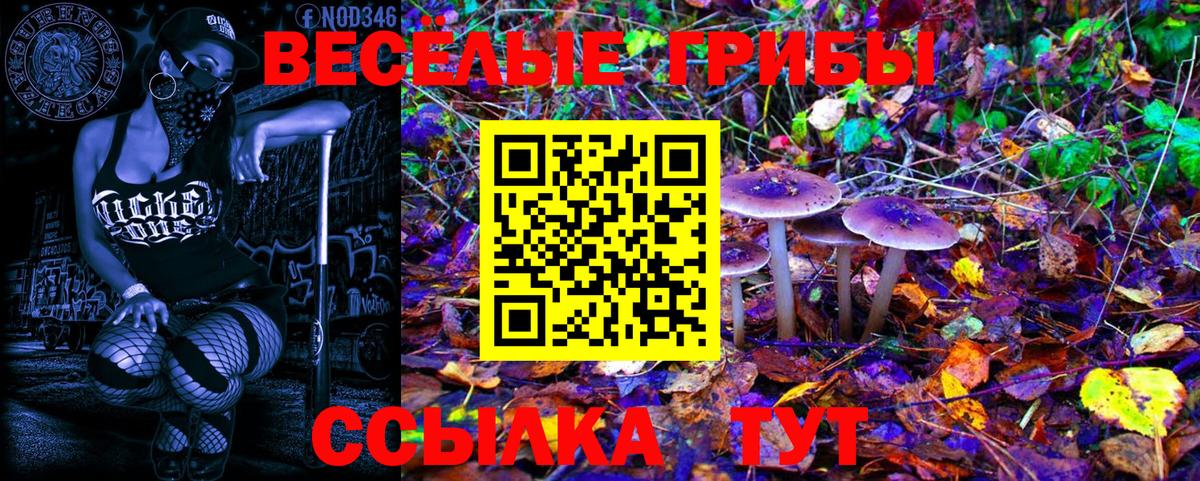 Псилоцибиновые грибы GOLDEN TEACHER Люберцы